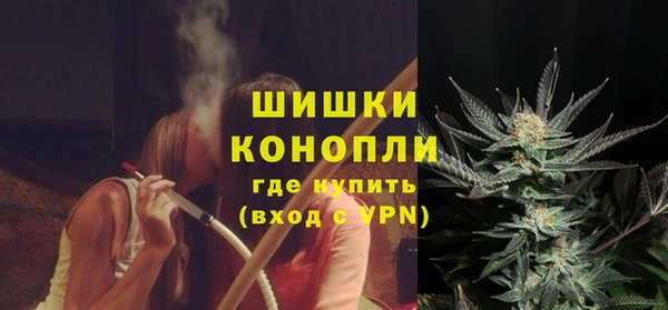 PSILOCYBIN Нея