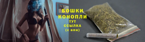 PSILOCYBIN Нея