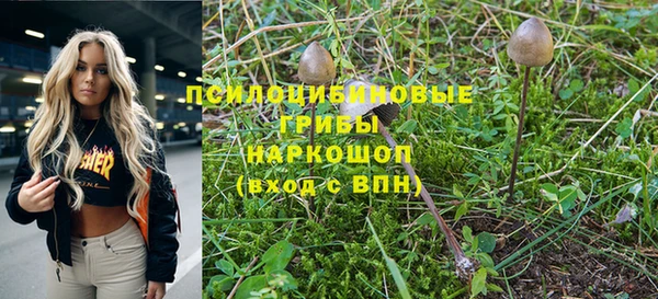 шишки Нефтекумск