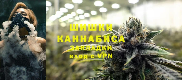 PSILOCYBIN Нея