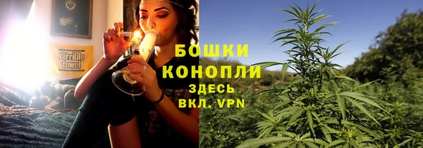 шишки Нефтекумск